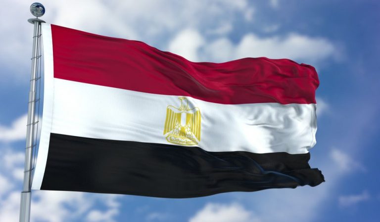 قرار البرلمان الأوروبي بشأن حالة حقوق الإنسان في مصر مرفوض ومبني على مغالطات وإدعاءات باطلة